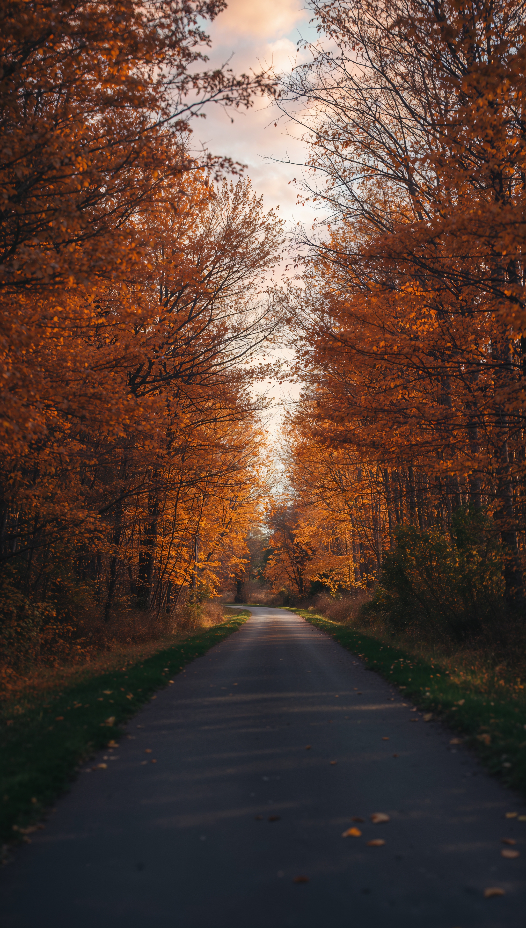 Country road iPhone wallpaper – autumn sunset view