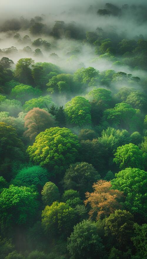 Best Green Wallpaper Iphone
