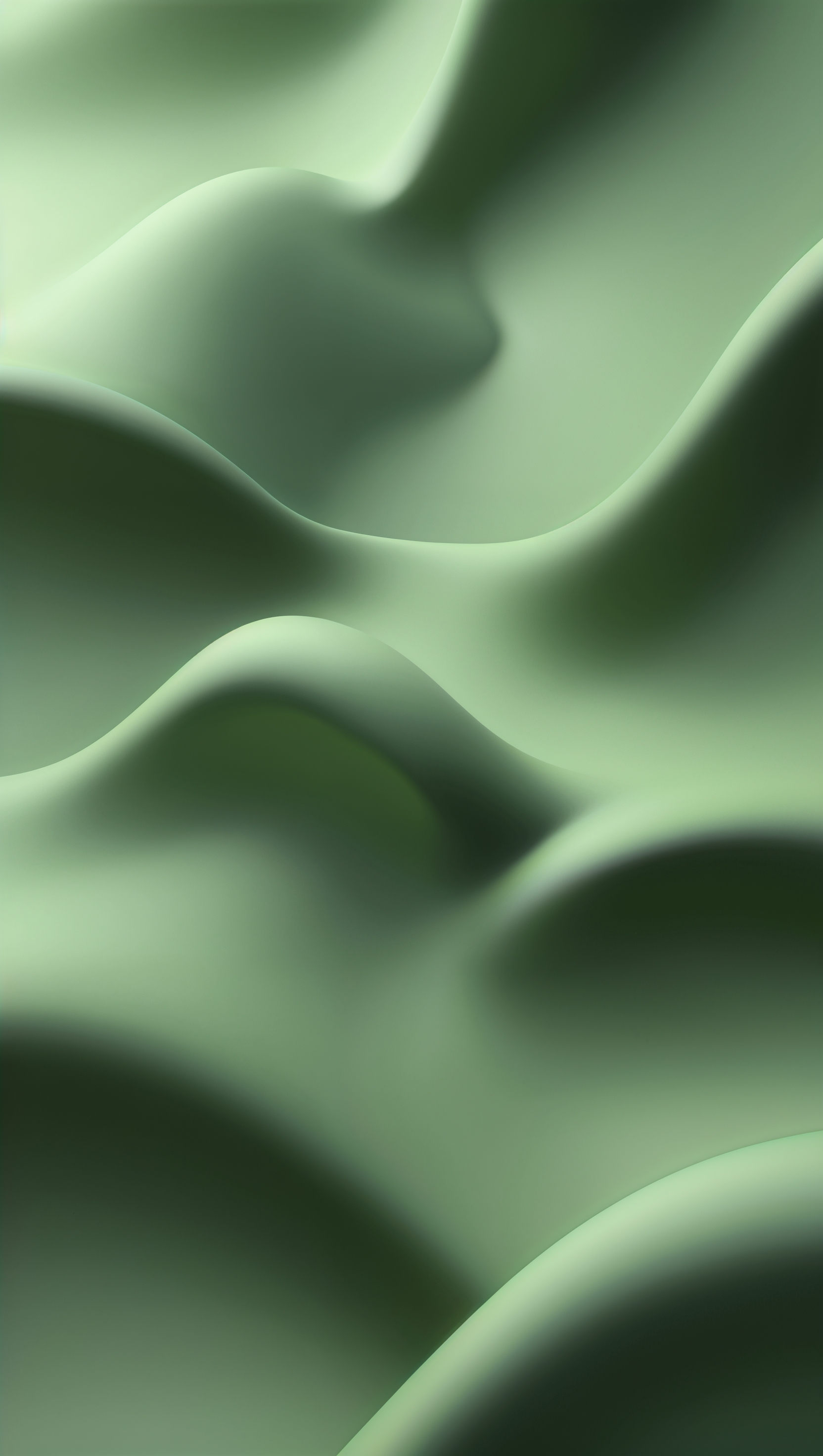 Modern matte green background with smooth 3D shapes and soft gradients