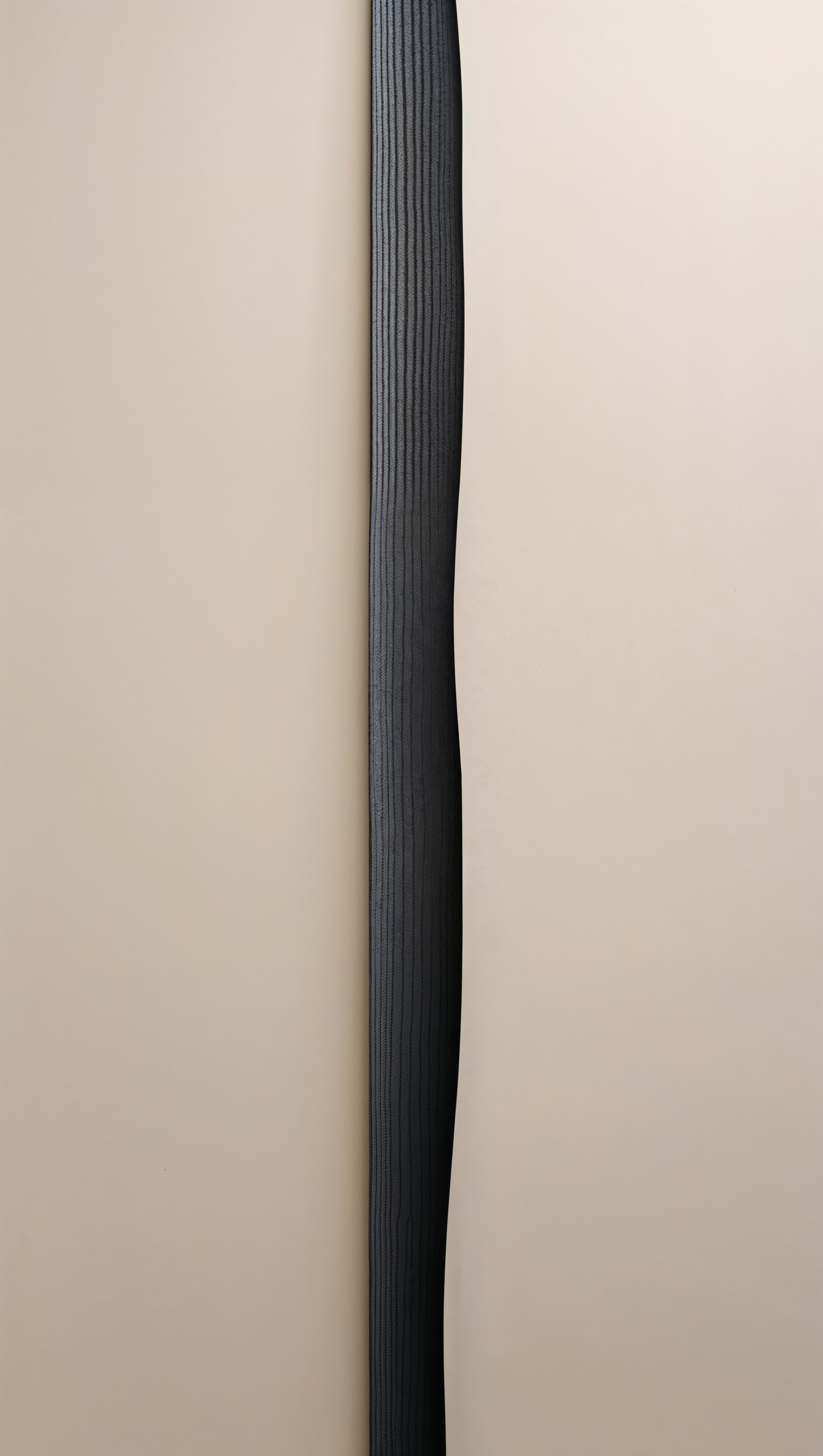 Vertical thin black line crossing pale beige backdrop
