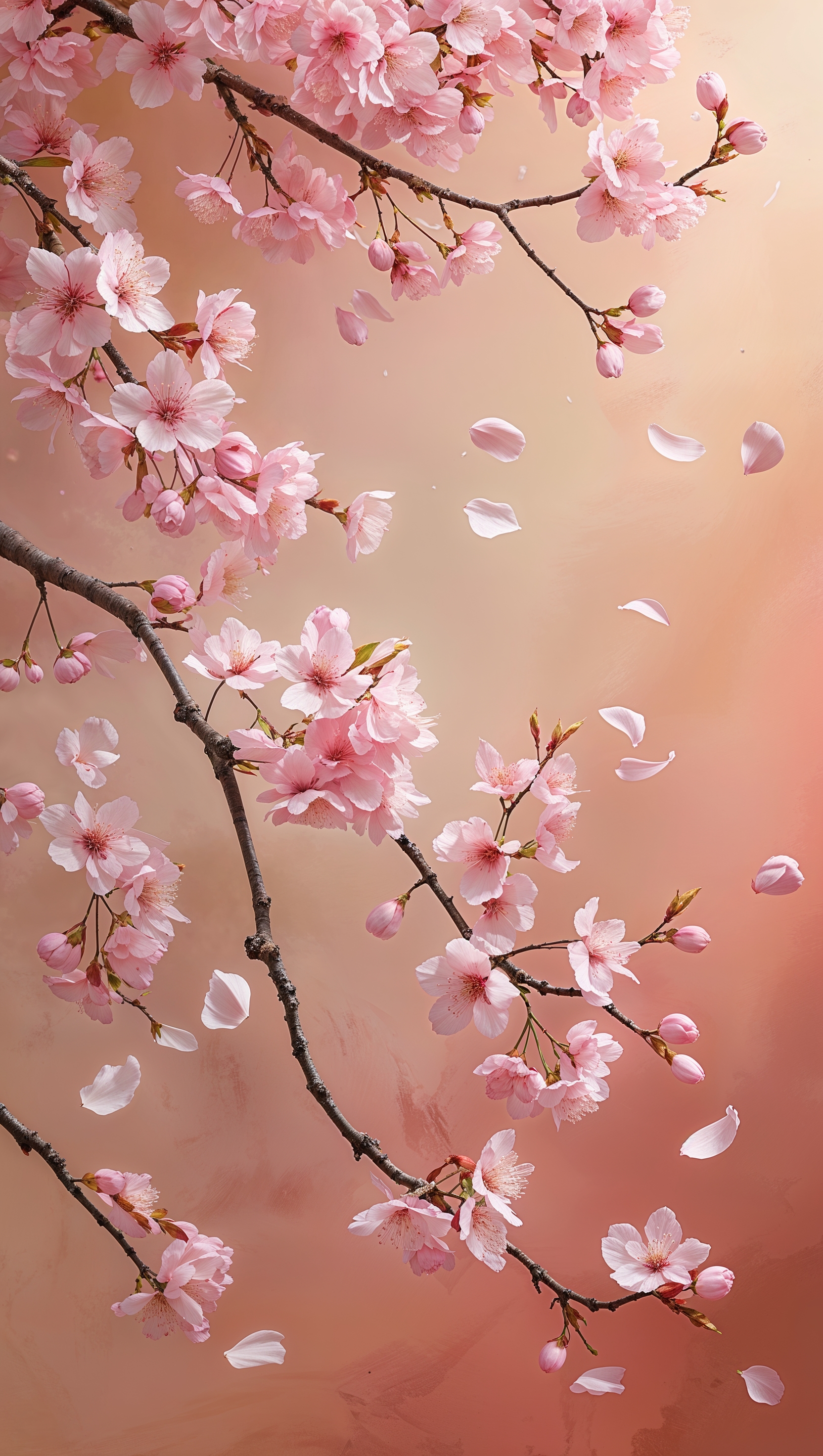 Cherry blossom branches with floating petals on soft peach backdrop