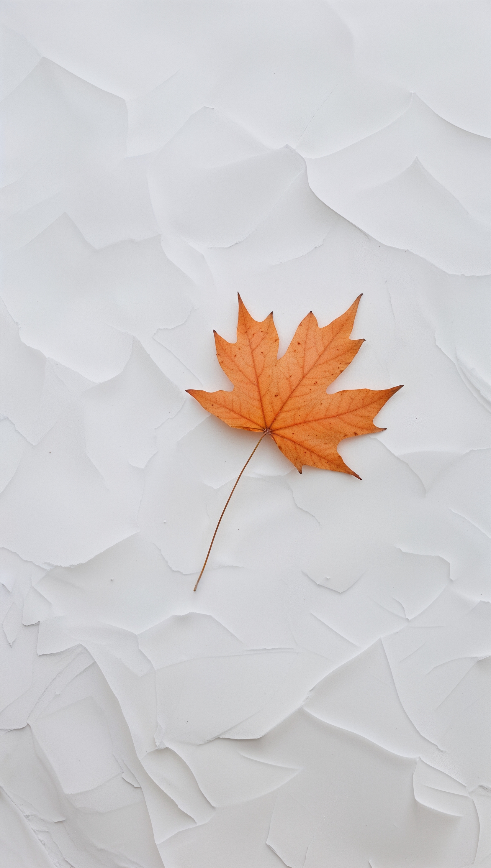 Clean white background with subtle orange fall leaf in corner, minimal touch