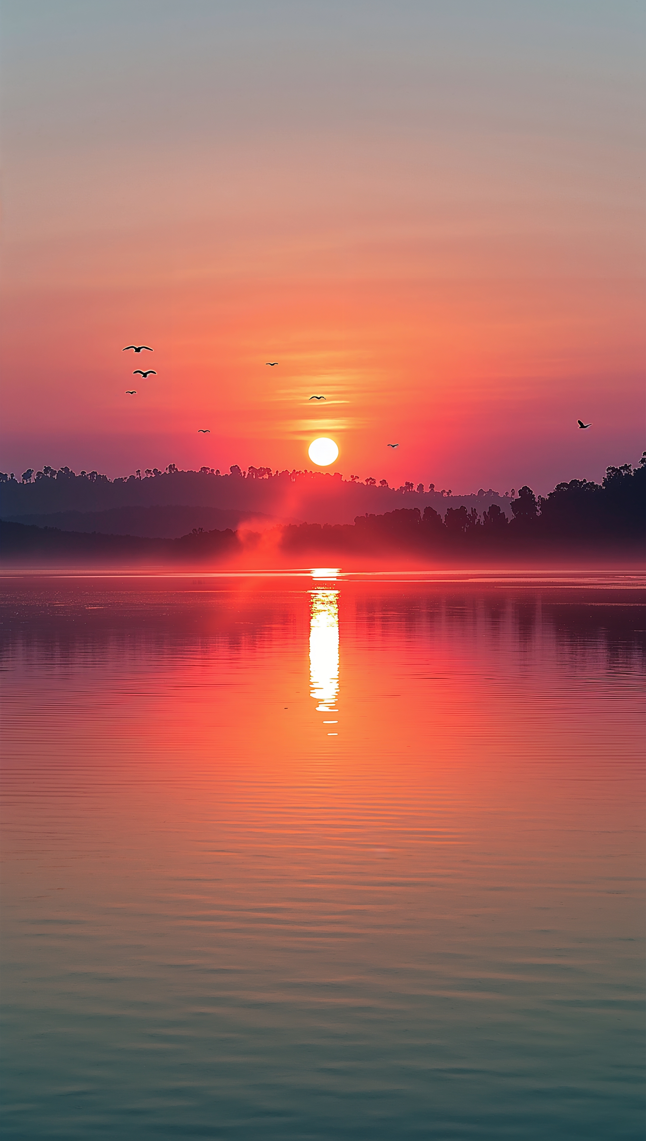 Sunset iPhone wallpaper – river with golden sunset reflection