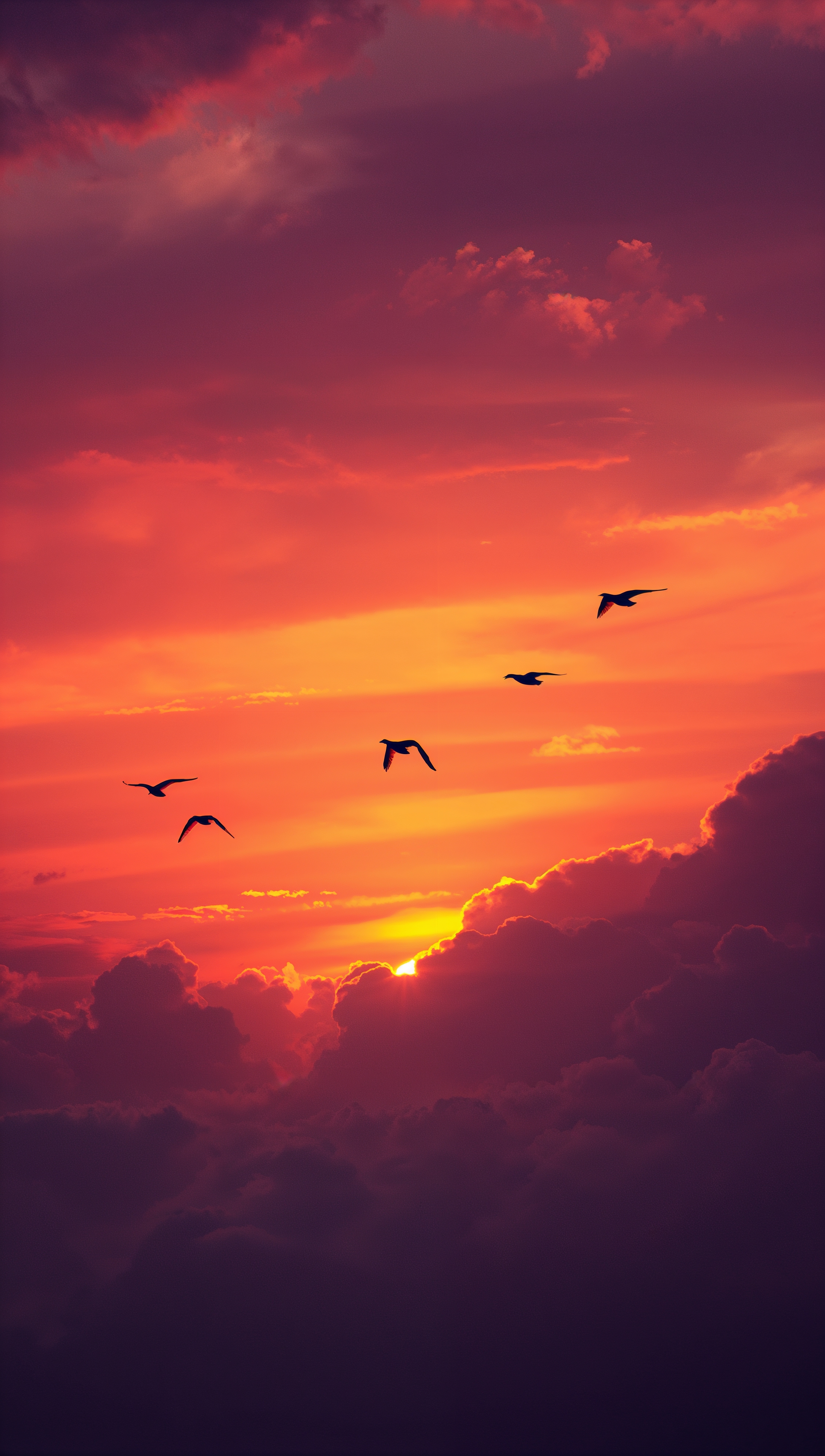 Sunset iPhone wallpaper – flying birds at sunset