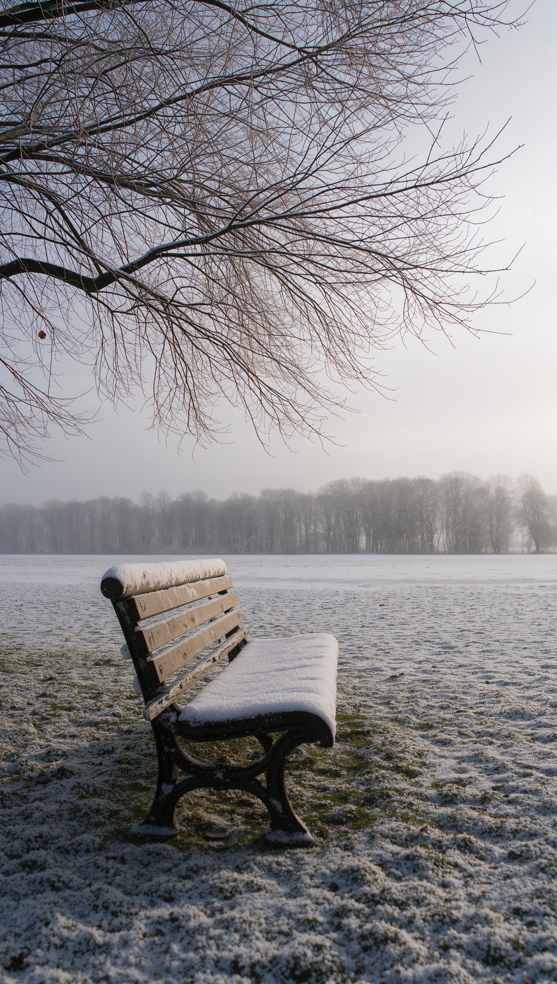 Snow-covered bench in park – December wallpaper