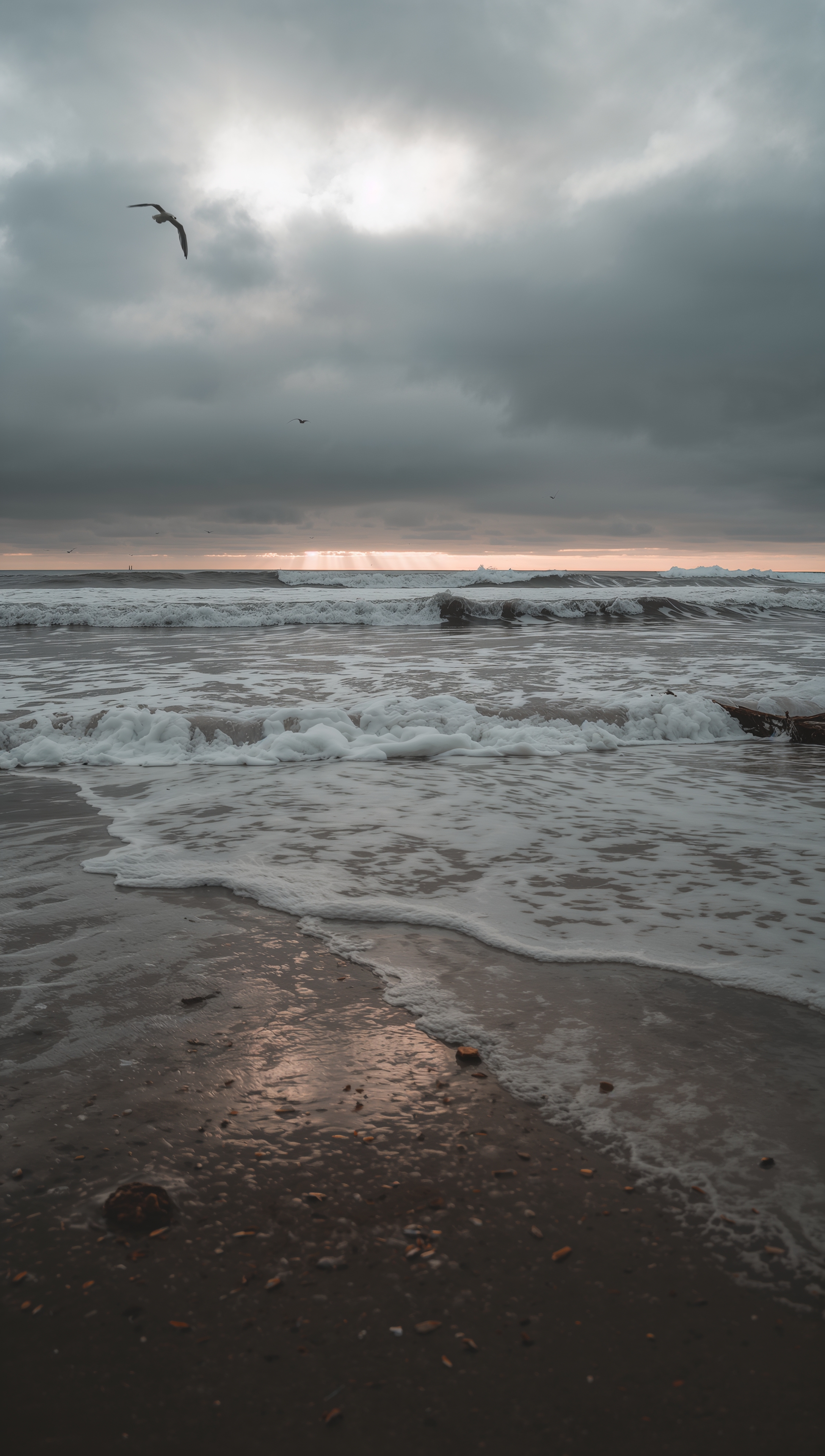 November wallpaper – autumn beach in November