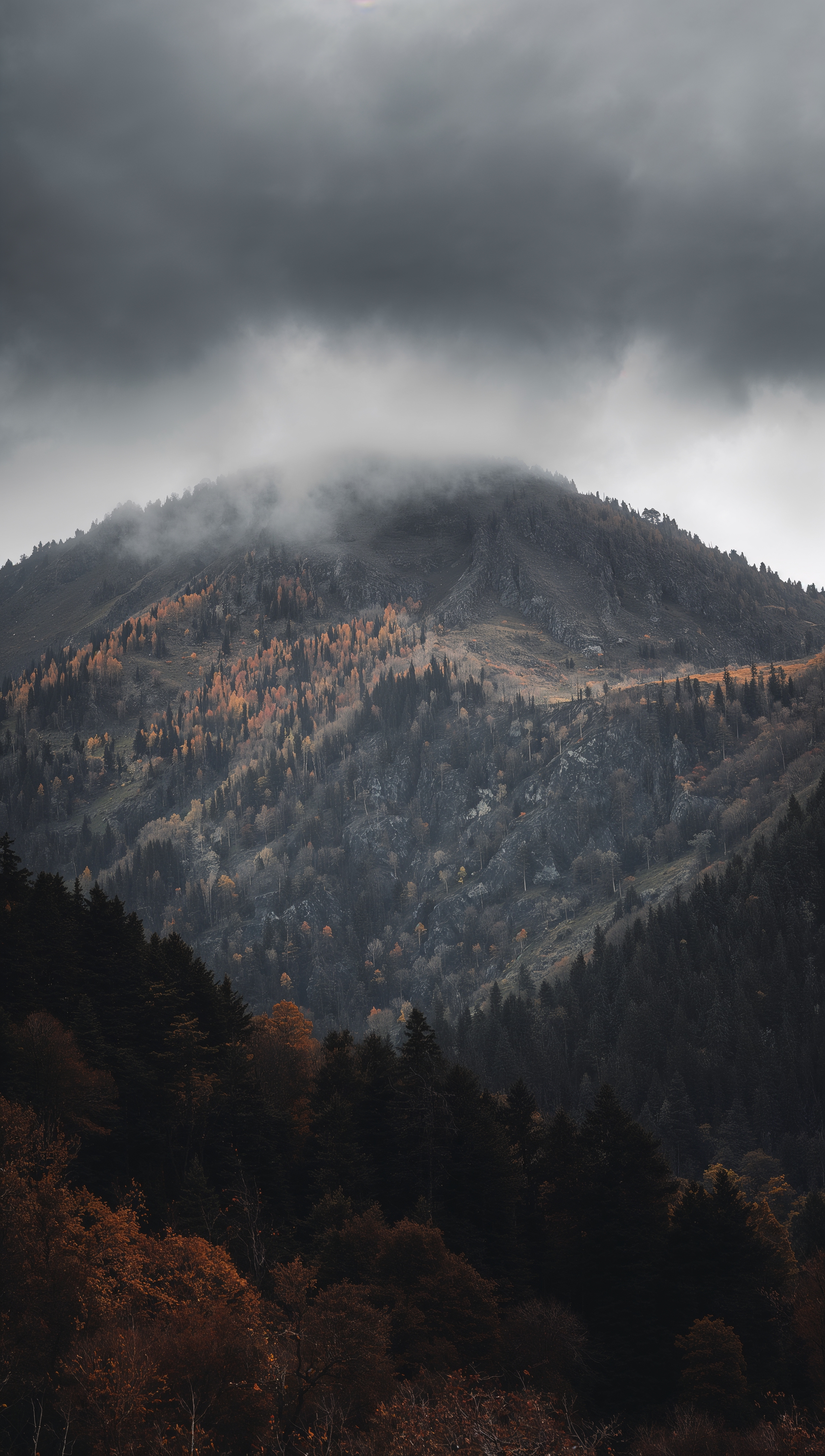 November wallpaper – cloudy mountains in late autumn