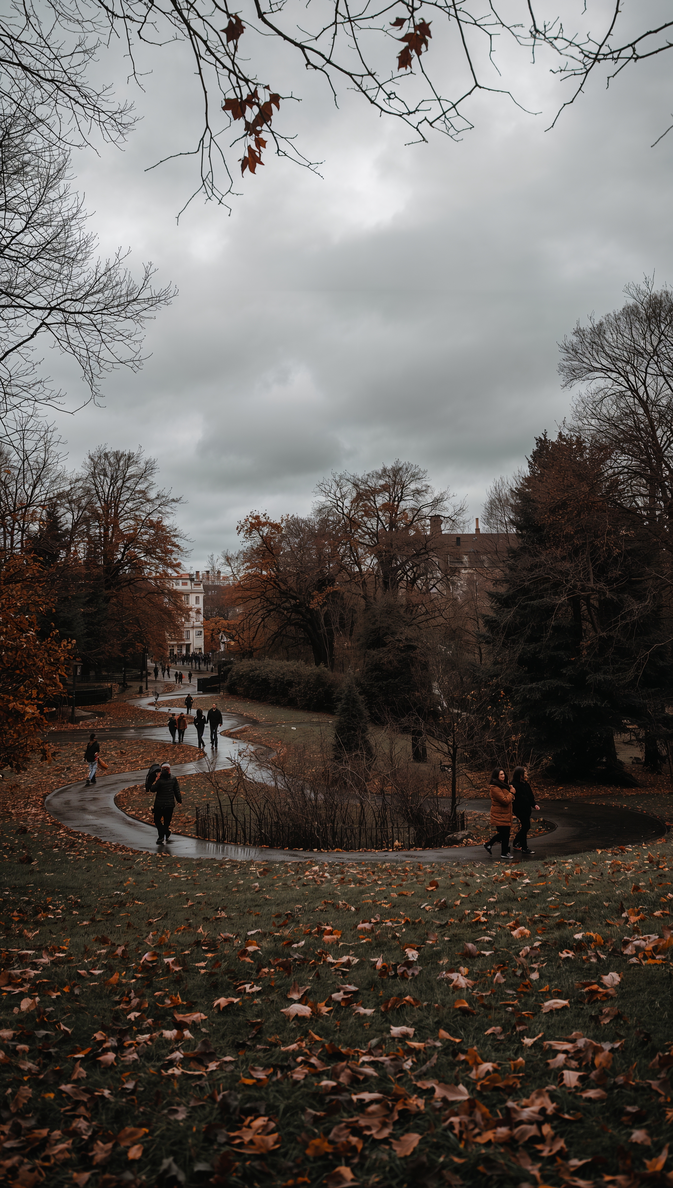 November wallpaper – late autumn city park