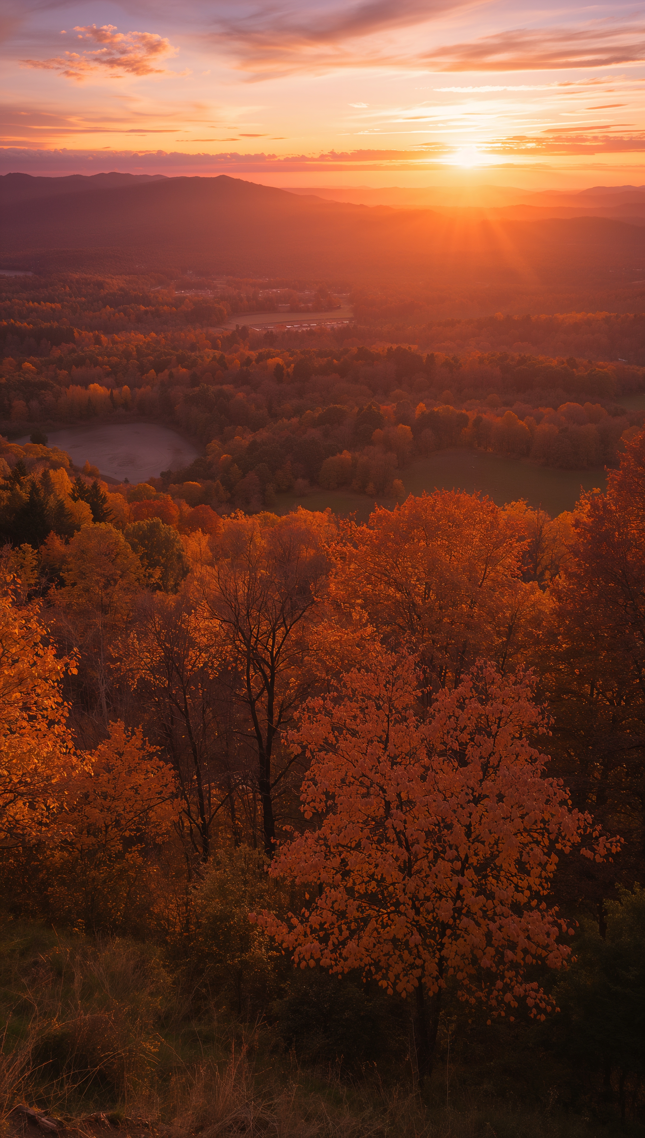 October iPhone wallpaper – golden autumn sunset