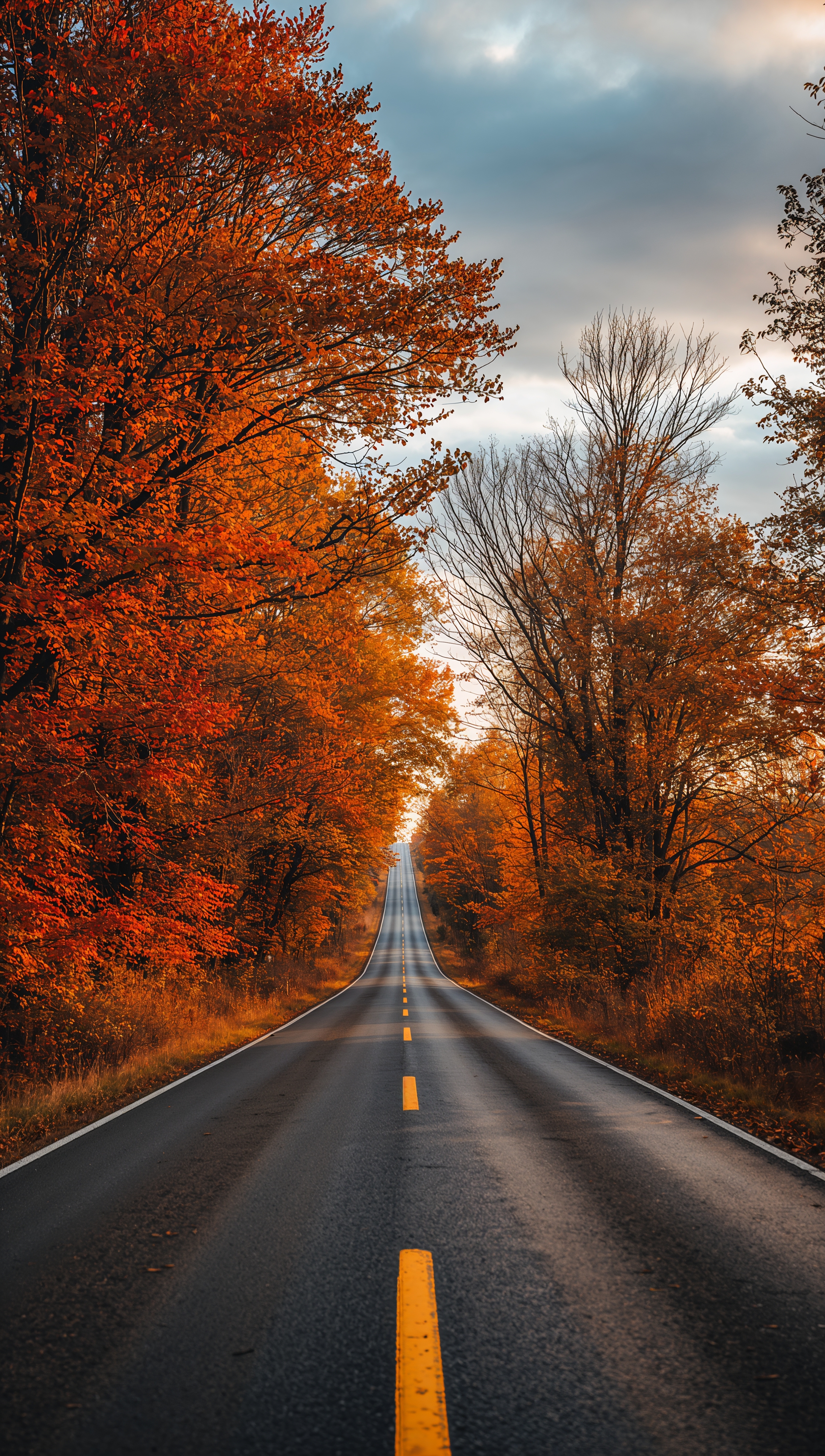 October iPhone wallpaper – autumn road in October