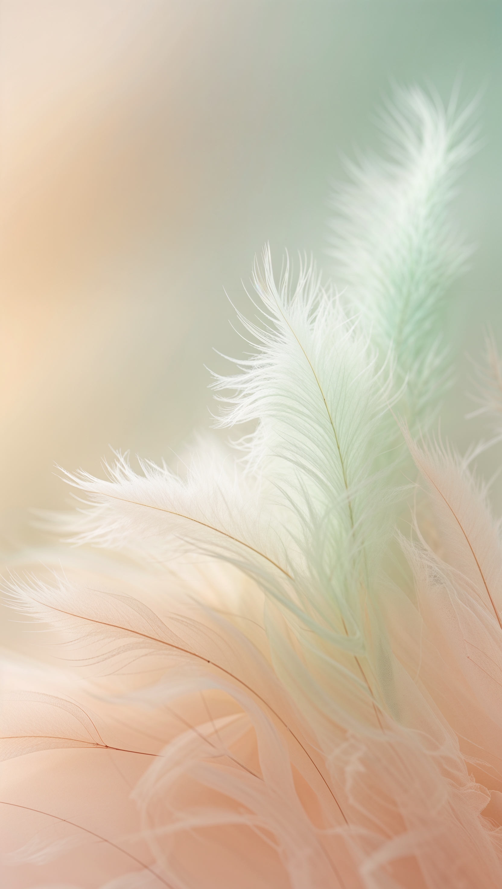 Soft pastel gradient background with gentle light, vertical iPhone wallpaper