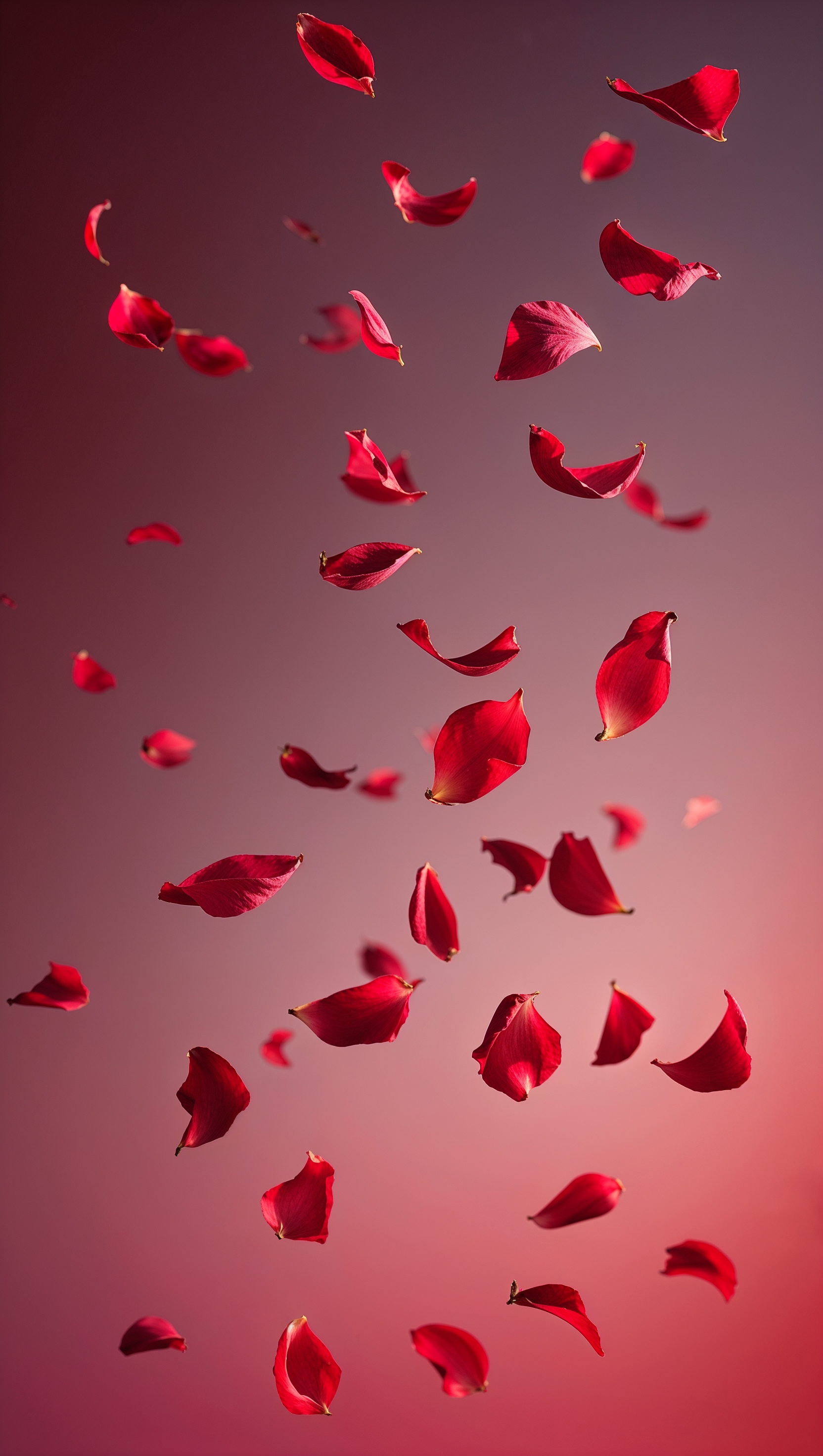 Falling red petals in slow motion over gradient background
