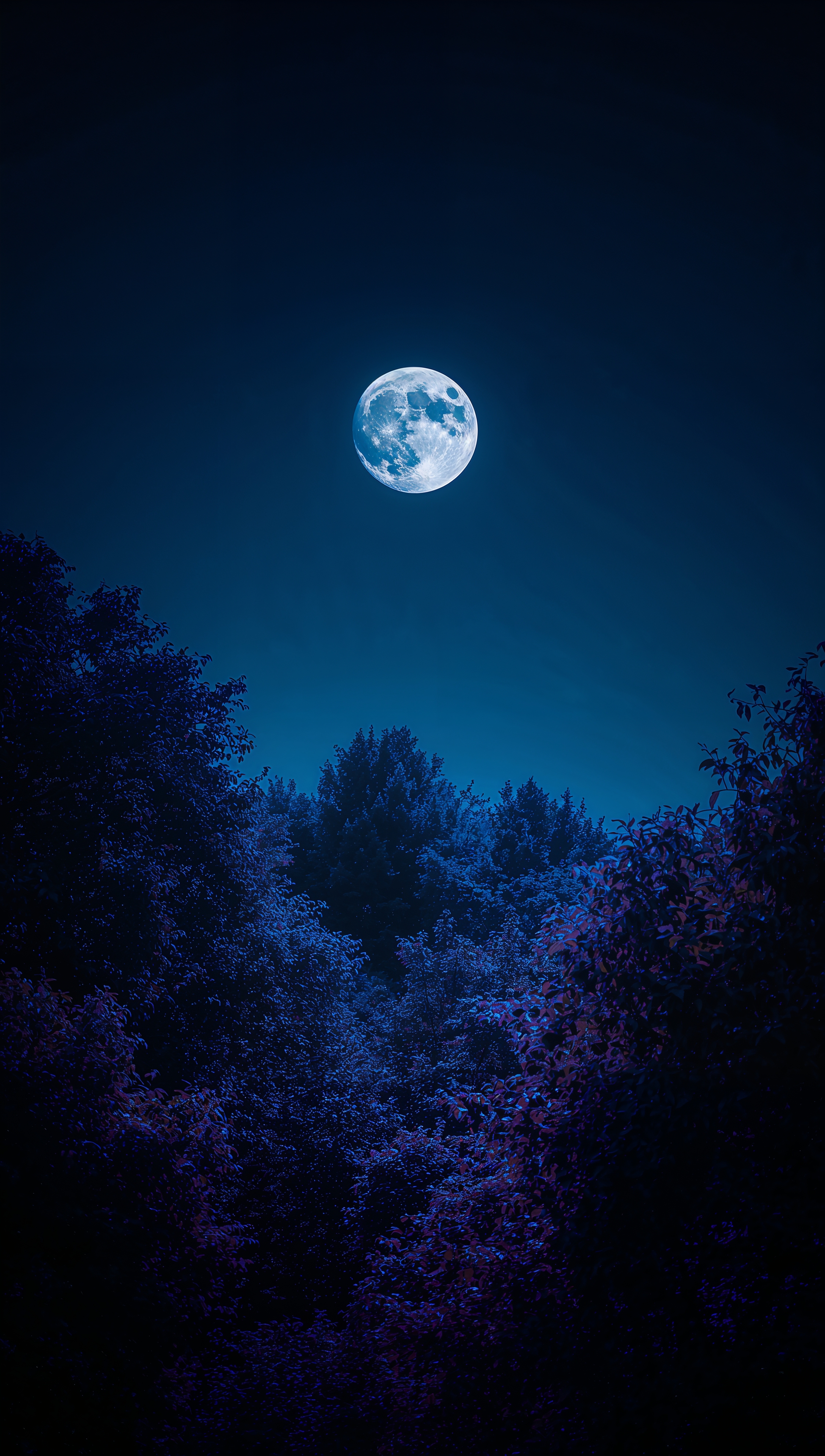 Moon iPhone wallpaper – full moon in night forest