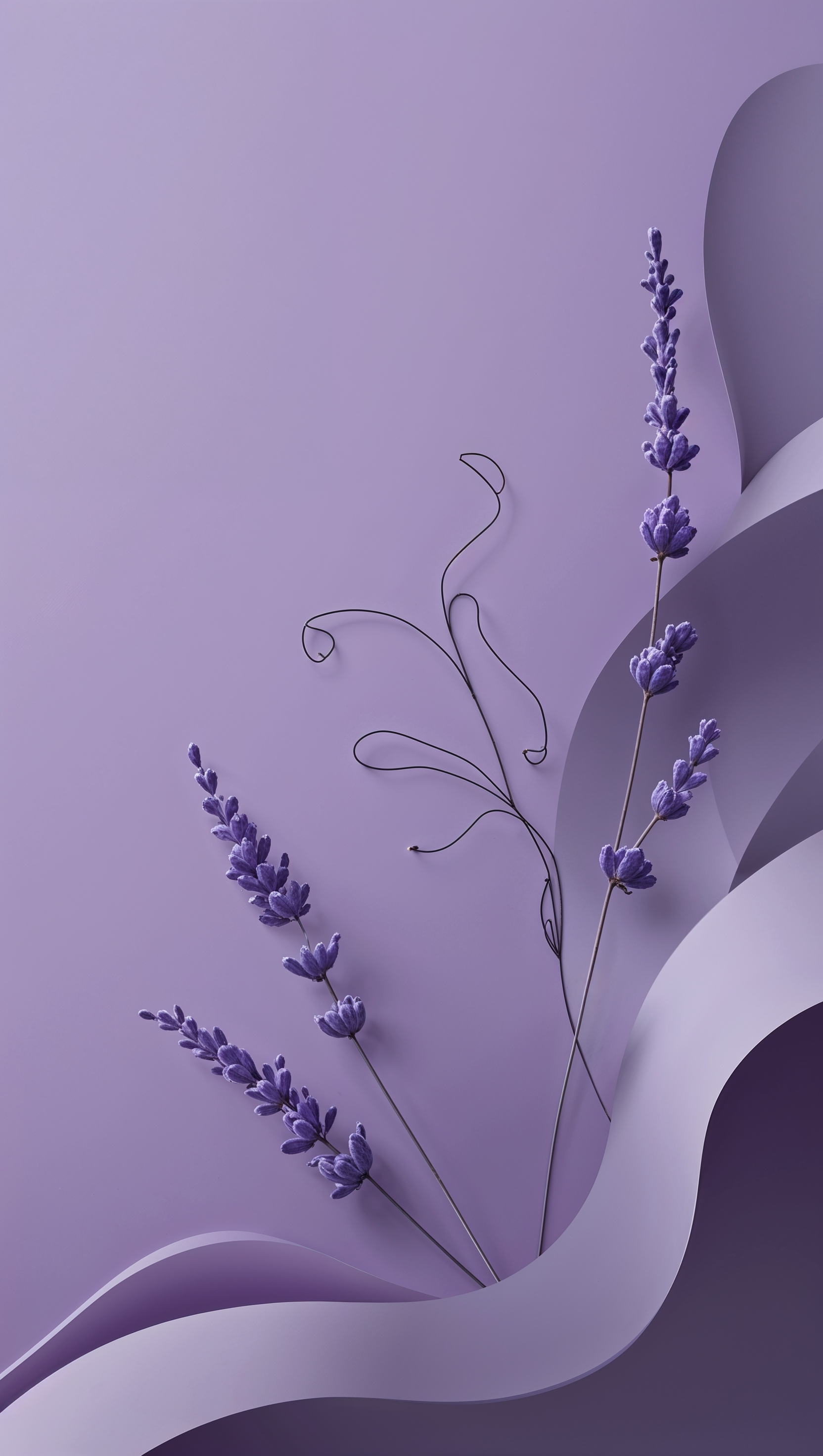 iPhone wallpaper with lavender color and minimal line art