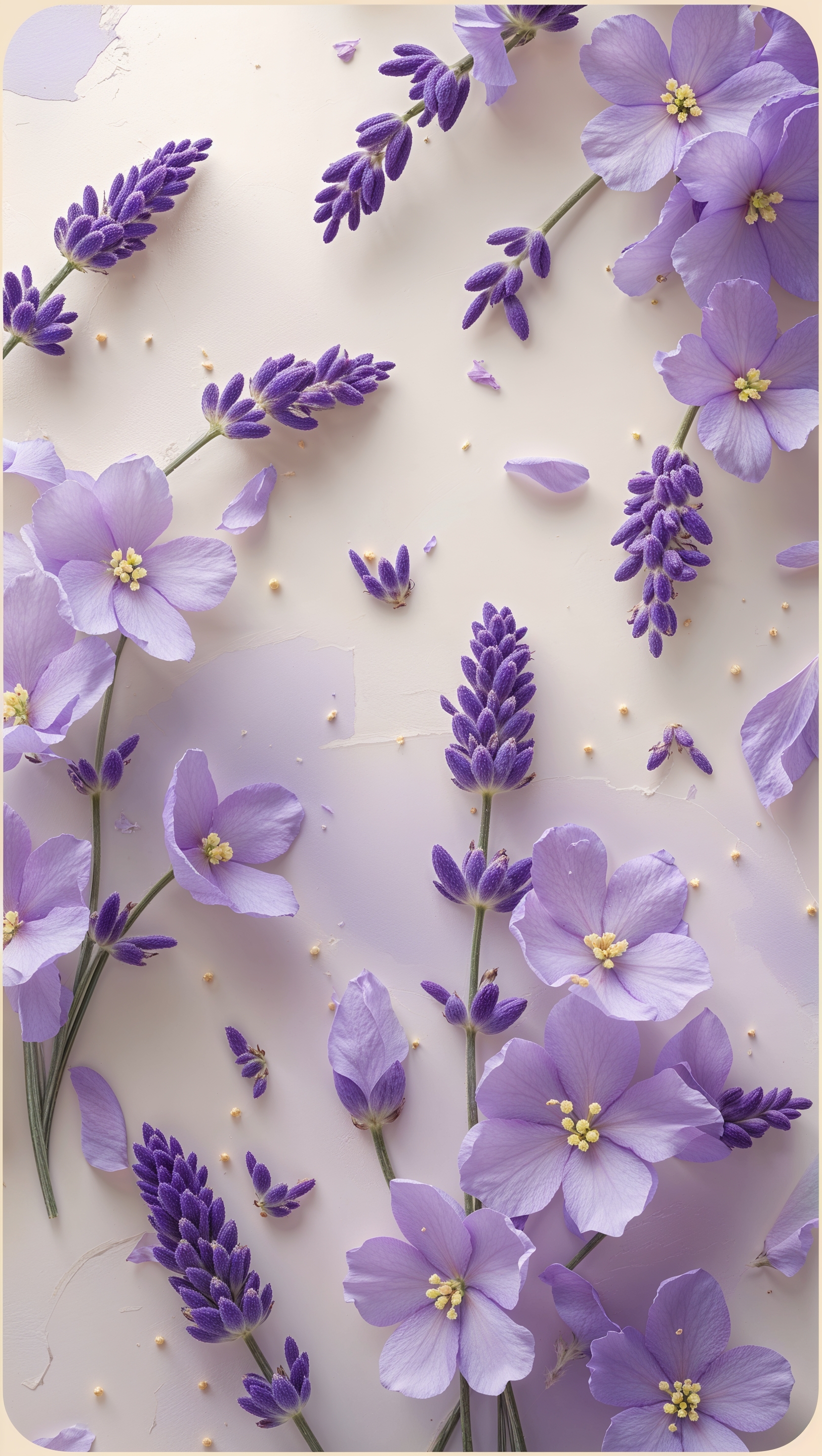 romantic lavender flowers wallpaper for iPhone