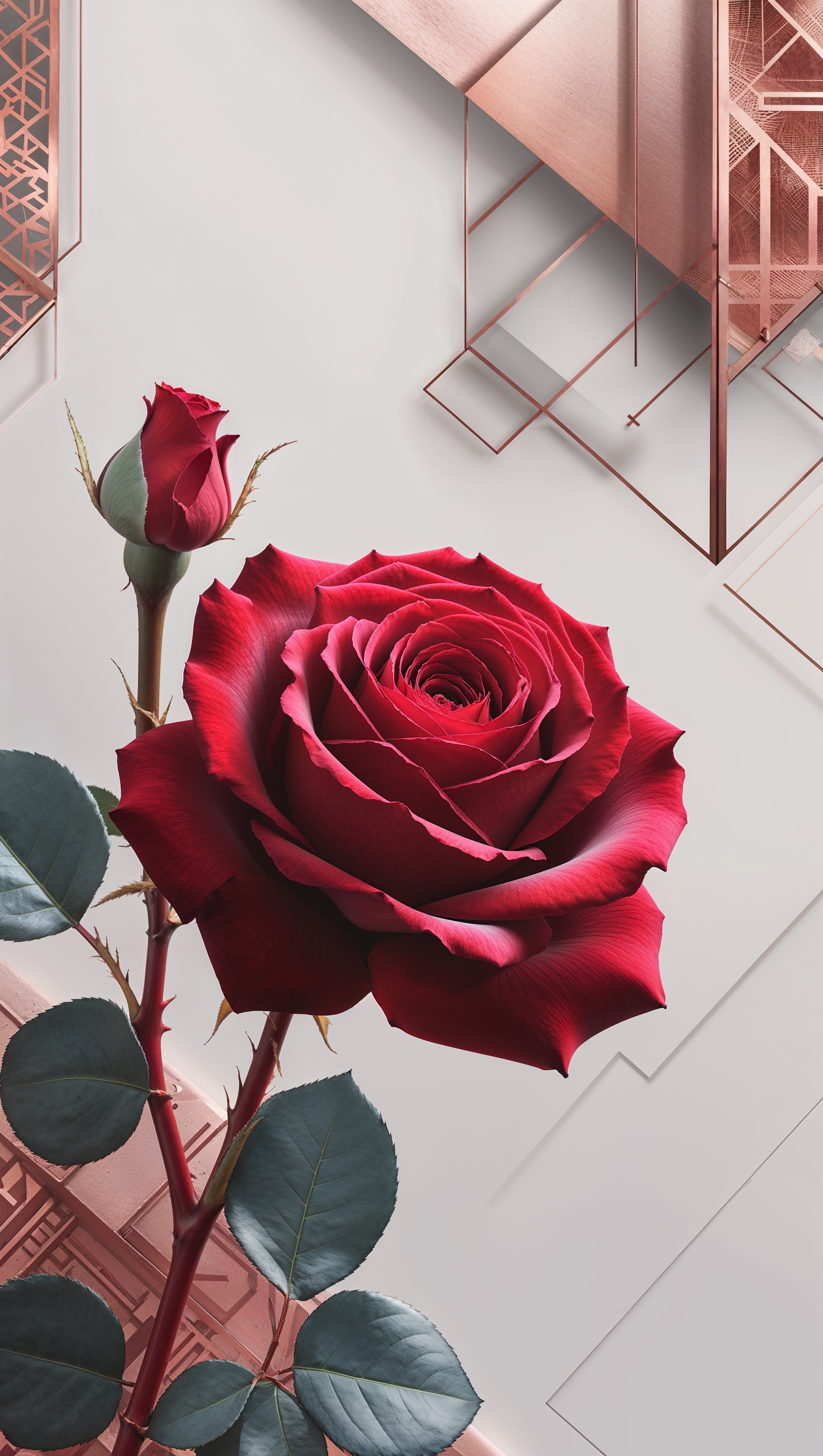 iPhone wallpaper with a red rose and simple geometric patterns